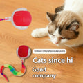 Say Goodbye to Pet Boredom: The Ultimate Motion-Activated Moving Ball for Cats & Dogs