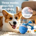 Interactive Dog Ball Toy - Sma Self-Moving Chase Buddy with Ropes, USB Rechargeable & 3 Play Modes for Boredom Relief