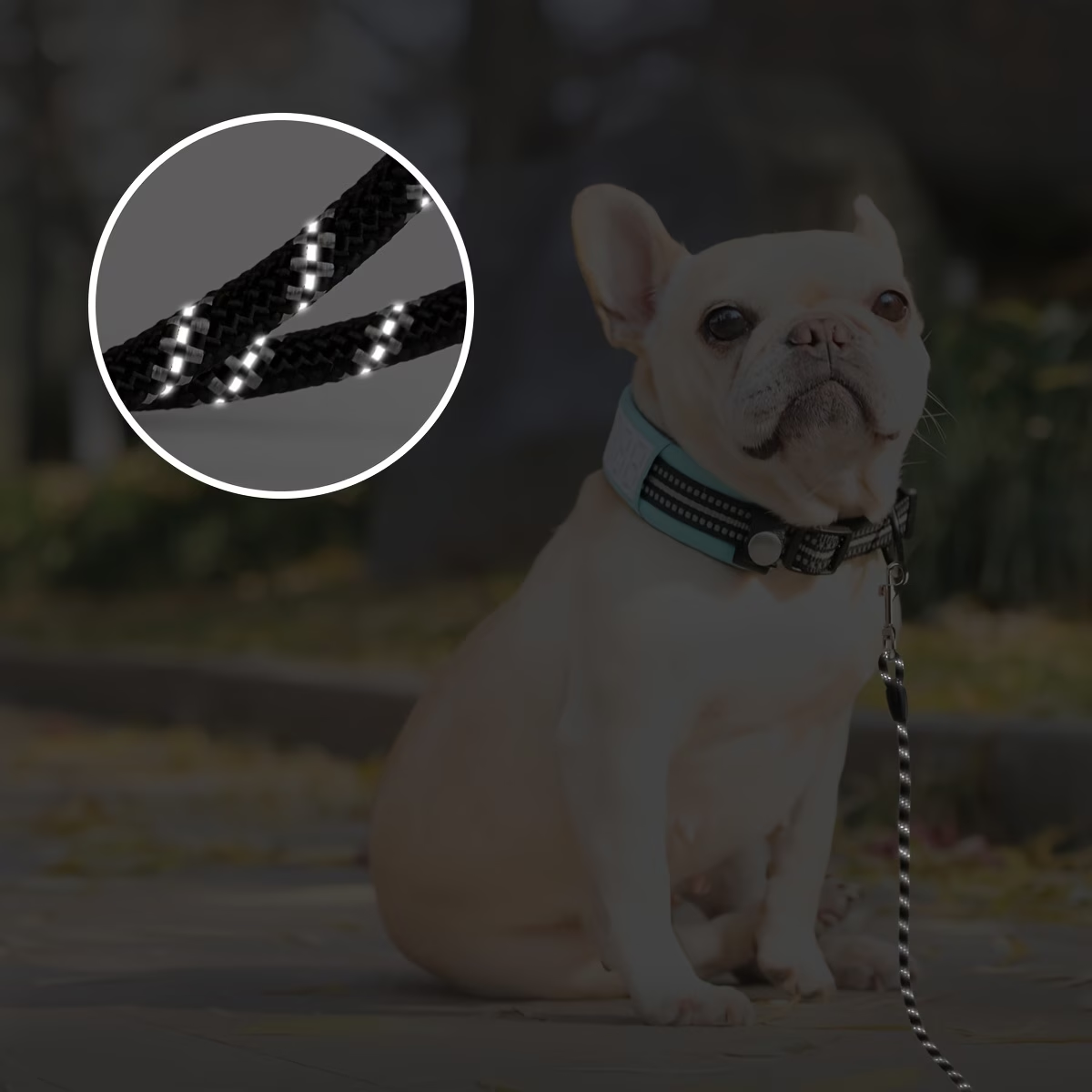 Long Reflective Nylon Dog Leash, Heavy Duty Durable Walking Training Rope For Small Medium Large Dogs