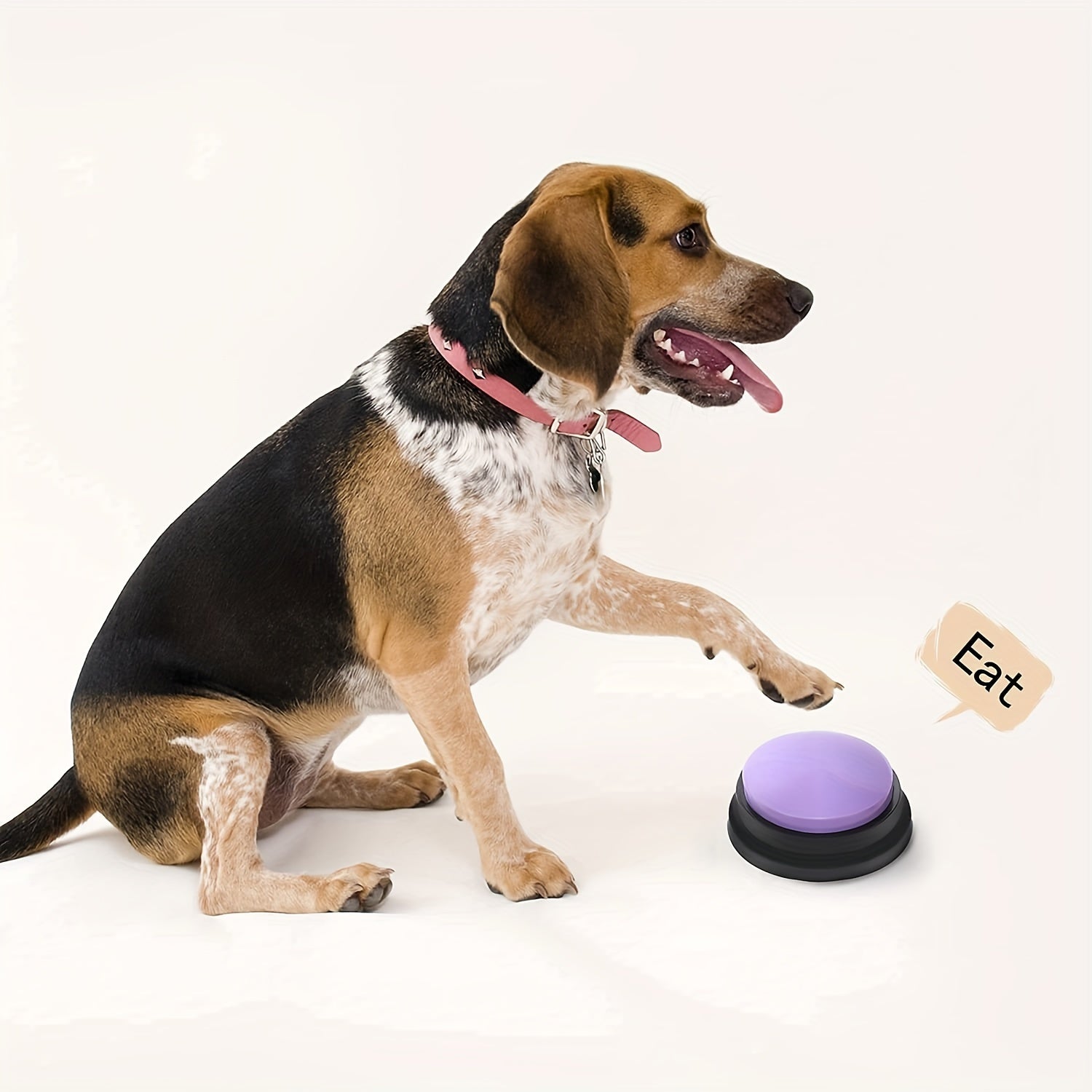 Teach Your Dog to Talk! Recordable Communication Buttons for Pets - Premium Interactive Training Kit