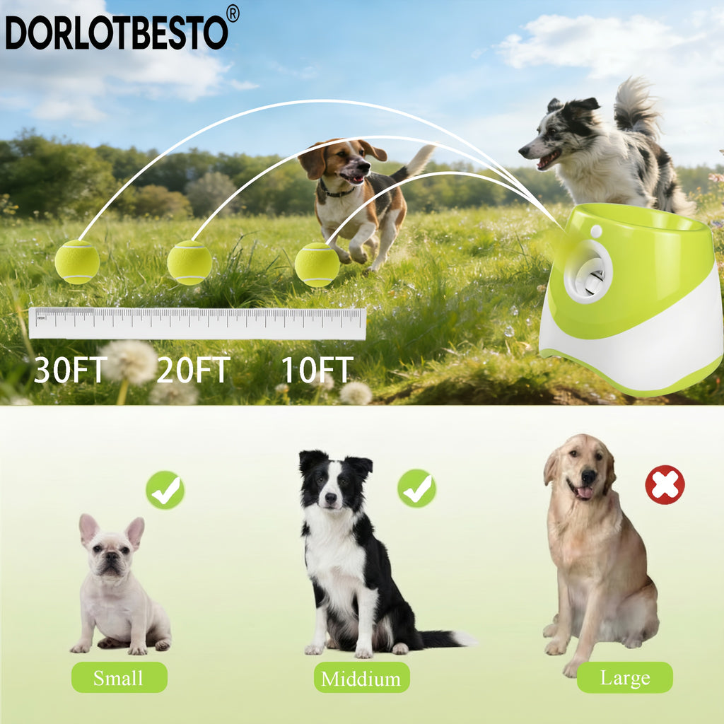 Pet Ball Thrower & Picker Toy - Fun Outdoor Interactive Play - Exercise Dog's Agility and Coordination - Durable Pet Retrieval Tool
