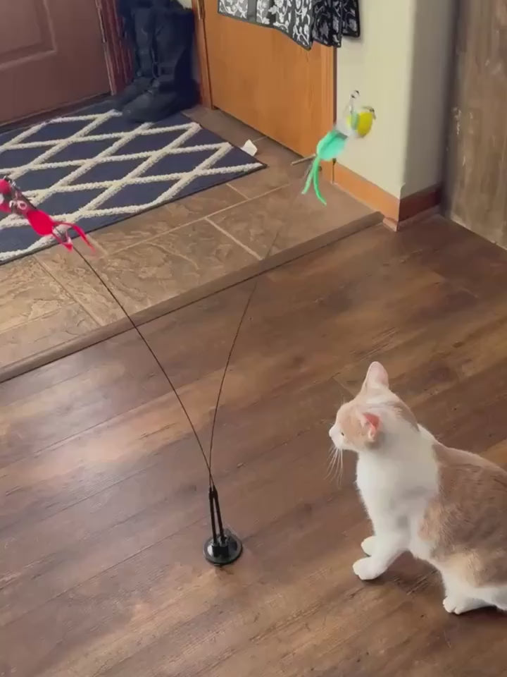 Self-Play Suction Cup Cat Toy | Interactive Simulation Bird to Keep Indoor Cats Active