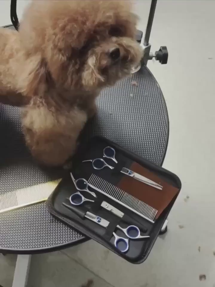 7-in-1 Professional Stainless Steel Dog Grooming Scissors Kit with Safety Round Tips, Titanium Coated Heavy Duty Pet Grooming Set for Dogs & Cats - Includes Straight, Thinning, Curved Shears and Comb